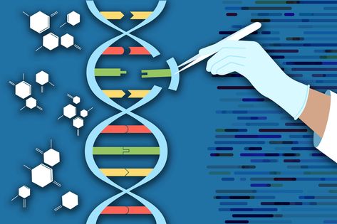 Building on the CRISPR gene-editing system, MIT researchers designed a new tool that can snip out faulty genes and replace them with new ones. The new technique, PASTE, could hold promise for treating diseases that are caused by defective genes with a large number of mutations, such as cystic fibrosis. Crispr Cas9, Gene Editing, Emerging Technologies, Types Of Humans, Eukaryotic Cell, Dna Sequence, Human Genome, Dna Repair, Gene Therapy