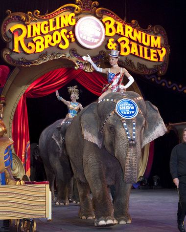 Ringling Bros and  Barnum & Bailey Elephant Cirque Vintage, Ringling Brothers Circus, Circus Signs, Circus Tickets, Vintage Circus Posters, Barnum Bailey Circus, Circus Maximus, Ringling Brothers, Circus Train