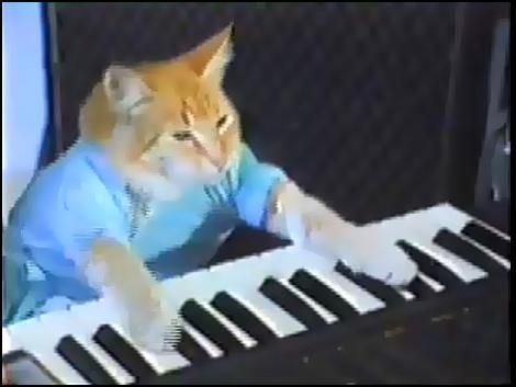 Up Yours Keyboard Cat Awkward Moments, Keyboard Cat, Jazz Cat, Very Funny Gif, Ghost Of Christmas Past, Cats Musical, Nyan Cat, Funny Cat Memes, Funny Cat Pictures