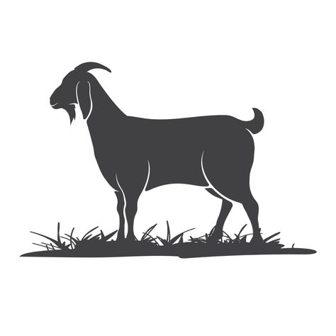 Goat vector icon silhouette. Goat side view in the grass. Farm goat animal logo design. Vector illustration. Vector illustration Goat Silhouette Design, Goat Vector Illustration, Goat Side View, County Fair Projects, Goat Silhouette, Goat Vector, Goat Illustration, Animal Logo Design, Sheep Vector