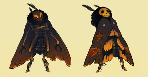 Dnd Moth Character, Anthro Moth Oc, Moth Man Character Design, Moth Man Drawing, Mothman Oc, Moth Man Art, Moth Humanoid, Moth Outfit, Insect Oc