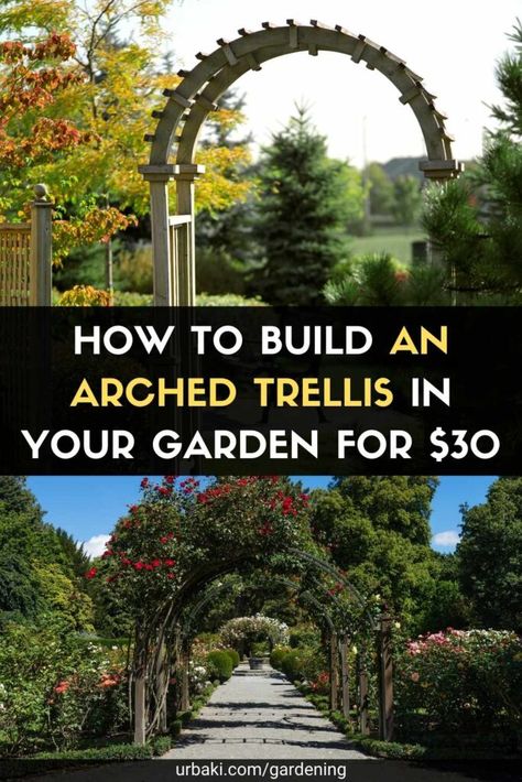 Arched trusses bring sculptural beauty and functionality to landscapes of all sizes. Try this low-budget wonderful idea for adding a curved trellis to your backyard, patio, garden, or walkway. Gardeners and landscapers love arched trellises for their sculptural silhouettes and utilitarian forms. Curved structures, which can support vines, climbing roses, and flowering vines, are often used to define doorways, position themselves as focal points in the garden, and direct attention and foot... Outdoor Trellis Ideas, Climbing Roses Trellis, Wisteria Trellis, Garden Arch Trellis, Arch Designs, Building A Trellis, Garden Archway, Flower Trellis, Vine Trellis