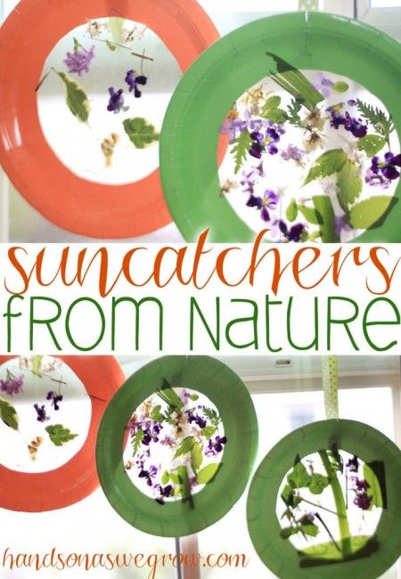 Nature Collage Suncatcher | Click on the image for more Crafts for Kids! Plant Themed Crafts, Plant Investigation, Nature Suncatcher, The Tao Of Pooh, Nature Collage, Theme Nature, Spring Activities, Toddler Art, Camping Crafts