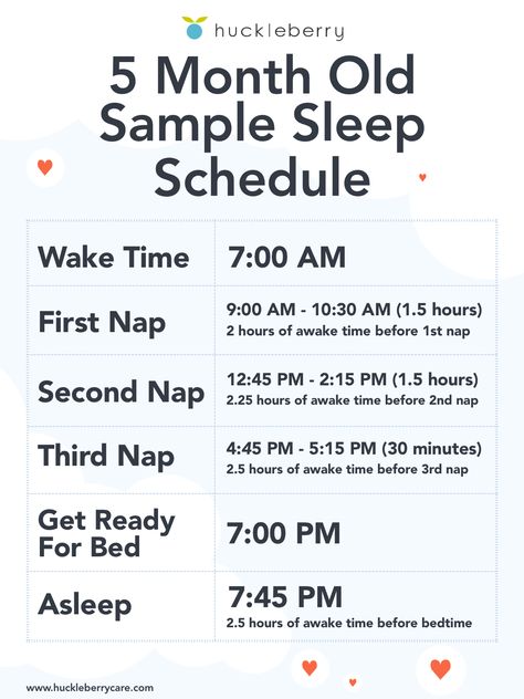 Learn about the age based sleep development changes and tips for five month old babies, and see a sample sleep schedule. 7 Month Old Sleep, 5 Month Old Sleep, 6 Month Old Sleep, Bedtime Schedule, 3 Month Old Sleep, Baby Sleep Routine, 5 Month Old Baby, 5 Month Old, Newborn Sleep Schedule