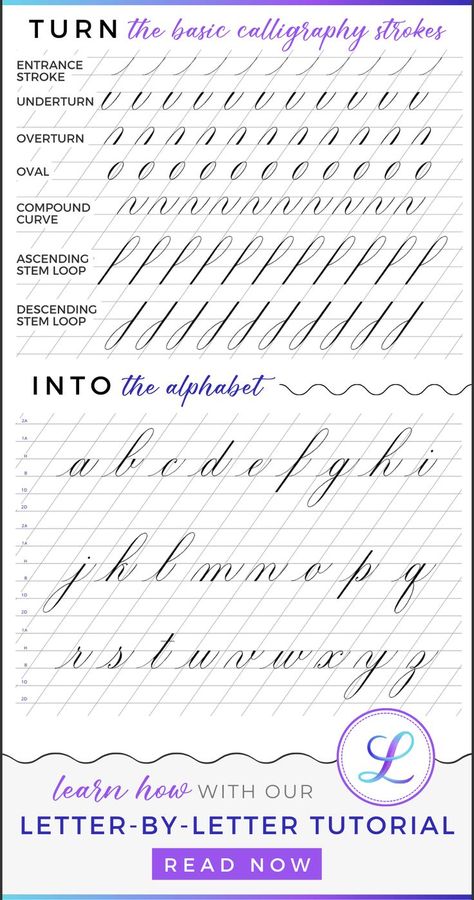 Calligraphy For Beginners Worksheets, Calligraphy Worksheets Free, Copperplate Alphabet, Copperplate Calligraphy Alphabet, Calligraphy Alphabet Tutorial, Caligrafia Copperplate, Beginner Calligraphy, Basic Calligraphy, Calligraphy Writing Styles