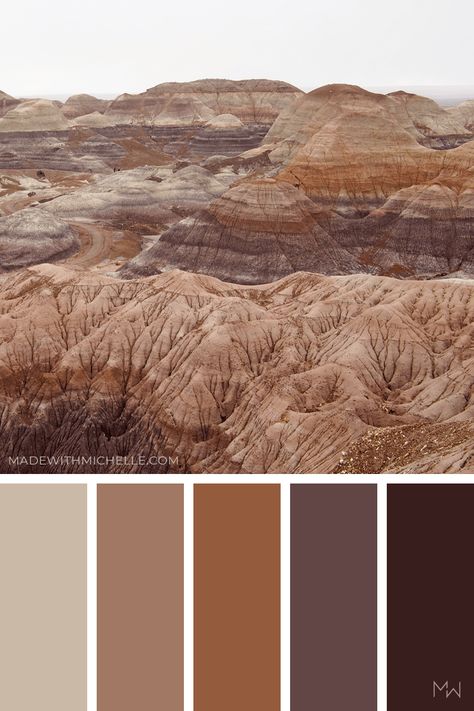 Natural Brown Color scheme inspired by Petrified Forest National Park. #graphicdesign #logodesign #madewithmichelle Cool Tone Brown Color Palette, Brown Taupe Color Palette, Brown Colors Aesthetic, Brown Swatches Colour Palettes, Brown And Tan Color Palette, Muddy Color Palette, Brown Pallete Color Aesthetic, Natural Color Palette Earth Tones Colour Schemes, Colors That Go With Cream
