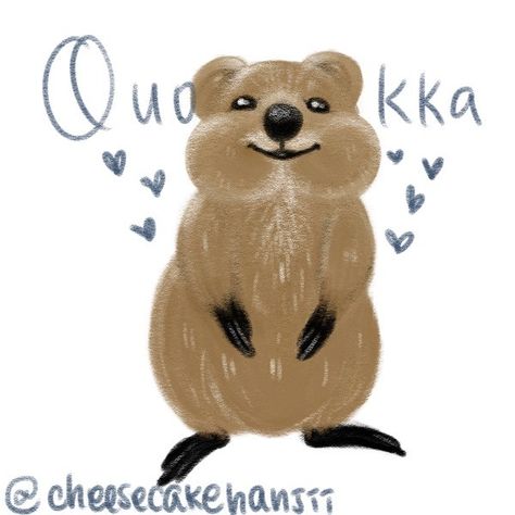 Quokka Drawing, Quokka Illustration, Quokka Animal, Art For Kids Hub, Animal Reference, Drawing Sheet, Bunny Drawing, Cute Sketches, Keramik Design