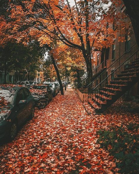 This view is so beautiful it makes me want to cry. Photograph by @karlvibes 🍁 Ruta #autumn #fall #autumn2018 #fall2018 #autumncolours… Taylor Swift Red Album, Loving Him Was Red, Taylor Swift Red, Red Taylor, Taylor Swift Wallpaper, Taylor Swift Album, Autumn Aesthetic, Fall Photos, Autumn Photography