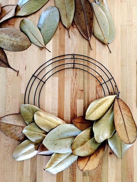 Fall DIY: 6 Easy Steps To Make A Dried Magnolia Wreath Diy Magnolia Wreath, Xmas Centerpieces, Wreath Inside, Magnolia Leaf Wreath, Magnolia Leaf, Winter Arrangements, Wire Wreath Forms, My Wallet, Evergreen Wreath