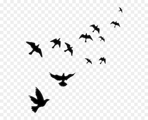 Birds In The Sky Drawing, Birds Background For Editing, Flying Bird Drawing Simple, Sky Png Backgrounds, Badal Png, Suraj Png, Birds Flying Png, Non Copyright Images, Flying Birds Png