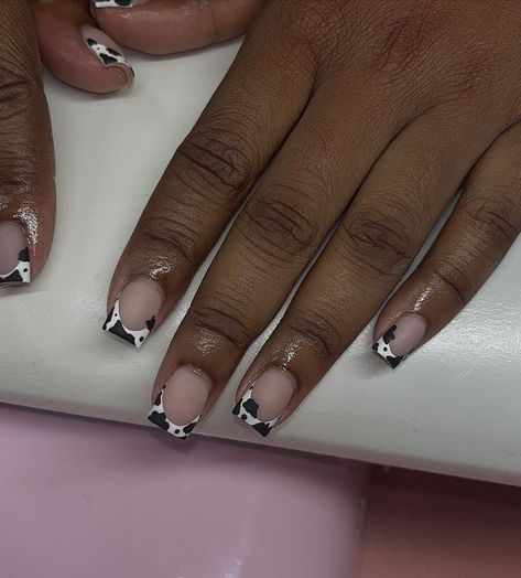 Cow Print Nails Short Square, Nails Ideas Cow Print, Square Cow Print Nails, Short Nail Designs Cow Print, French Cow Print Nails, Cow Print Toe Nails, Cow Print Short Nails, Nail Ideas Cow Print, Cow French Tip Nails