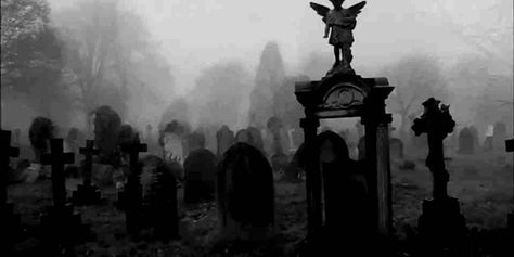 Rip To My Youth, Goth Wallpaper, Banner Gif, Gothic Aesthetic, Arte Obscura, Dark Gothic, Goth Aesthetic, Aesthetic Gif, Computer Wallpaper