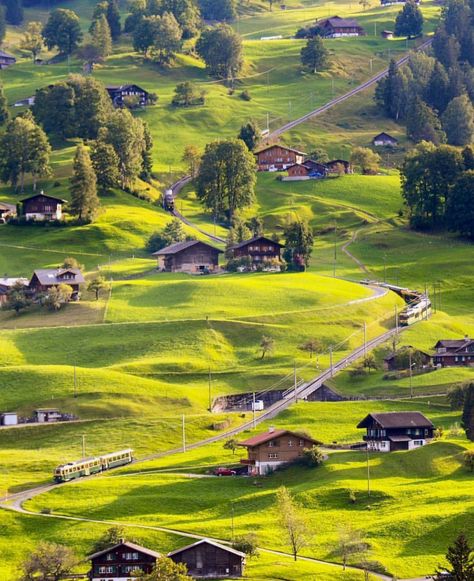 Grindelwald - Switzerland ✨💚💚💚✨ Picture by ✨✨@sennarelax✨✨ Tirol, Grindelwald Switzerland, Switzerland Photography, Countryside Cottage, Switzerland Travel, Alam Yang Indah, Travel Abroad, Nature Scenes, Nature Travel