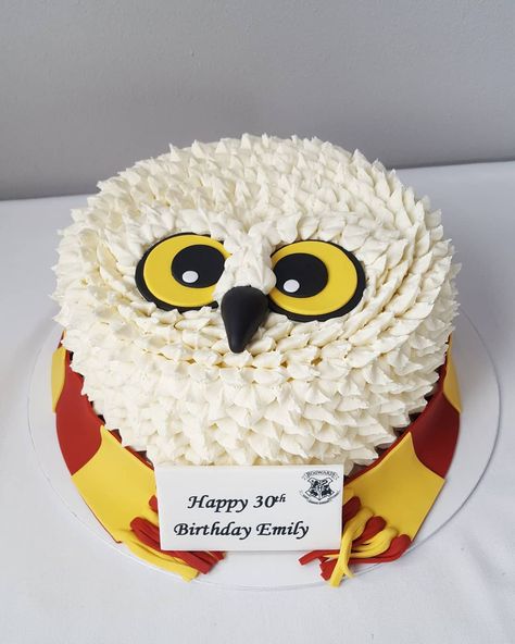 Amy A. on Instagram: “I had such a hoot making this Hedwig cake! 🦉✉ #harrypotterlove #wizardsbestfriend . . . . #harrypotter #hedwig #hogwarts #hedwigcake…” Hedwig Cake, Harry Potter Torte, Harry Potter Desserts, Gateau Harry Potter, Owl Cake Birthday, Harry Potter Cupcakes, 12th Birthday Cake, Cumpleaños Harry Potter, Harry Potter Birthday Cake