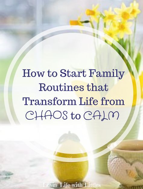 Family Morning Routine, Family Routine Ideas, Making Routines, Traditions To Start With Kids, Transform Life, Homework Routine, Family Routine, Natural Family Planning, Family Culture