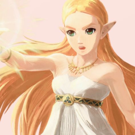 princess zelda icon Nintendo, Blue Eyes, Albw Zelda, Princess Zelda Icon, Zelda Icon, Botw Zelda, Zelda, Princess Zelda, Blonde