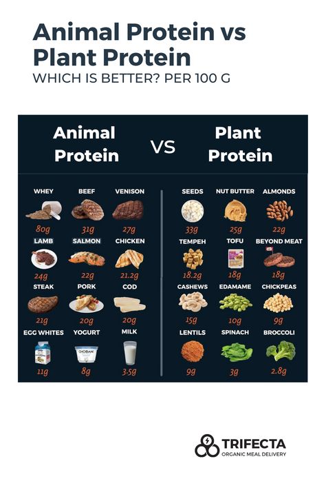 Animal versus plant protein. Which is better? Non Animal Protein Sources, Animal Protein Free Diet, Types Of Protein Food, Greens And Protein Diet, Whole Food Protein Sources, Protein Sources For Macros, Protein Dense Foods, Non Dairy Protein Sources, Protein Plate