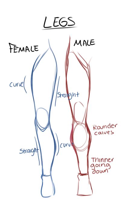 Drawing Tips - Imgur Drawing Eyes, Drawing Hands, Leg Construction Drawing, Body Types Art, Lukisan Fesyen, Drawing Legs, Easy Pencil Drawings, Seni Dan Kraf, Siluete Umane