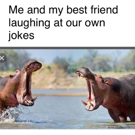 #besties #meme #relatable Humour, Funny Best Friend Memes, Friendship Memes, Me And My Best Friend, Funny Friend Memes, Friend Jokes, Friend Memes, Best Friends Funny, Funny Animal Jokes