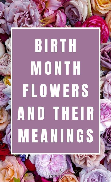 September's Birth Flower, Birth Month Flower Necklaces, Birth Month Flower Meanings, Flower For March Birth Month, Flower Tattoo And Their Meaning, Multiple Birth Month Flower Tattoos, Birth Flowers In Color, Violet Meaning Flower, Crochet Birth Month Flowers