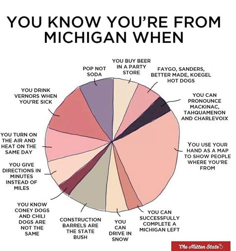 You Know You're From Michigan When Michigan Accent, Michigan Girl, Michigan Travel, State Of Michigan, West Michigan, Upper Peninsula, Cool Store, Pure Michigan, Northern Michigan
