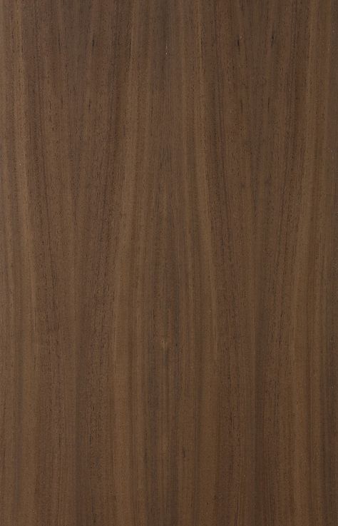 Natural Fier'o Veneers : : Bugged Oak Natural Teak Veneer Texture, Walnut Veneer Texture, Mdf Texture, Laminate Texture, Walnut Texture, Walnut Wood Texture, Veneer Texture, White Oak Veneer, Wood Floor Colors