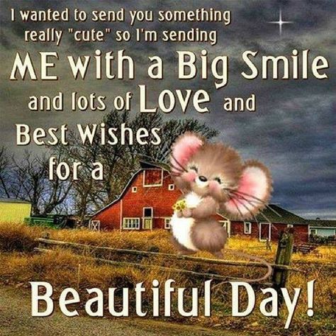 Morning Hugs, Good Morning Hug, Daily Wishes, Happy Day Quotes, Good Afternoon Quotes, God Natt, Afternoon Quotes, Good Morning Sunshine Quotes, Funny Good Morning Quotes