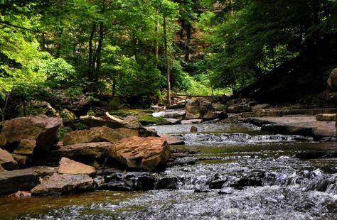 You'll fall in love with this beautiful camping spot. Beautiful Camping, Indiana Travel, Outdoor Paradise, Family Camping Trip, Camping Locations, Camping Spots, Outdoor Lover, Camping Activities, Weekend Trip