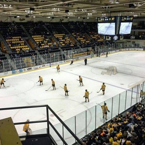 Michigan Tech Hockey Michigan, Ice Hockey, Fan, Michigan Hockey, Winter Semester, Michigan Tech, Hockey Fans, Hockey Rink, Hockey