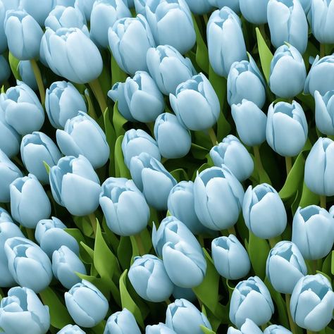 Blue Tulip Aesthetic, Blue Tulips Aesthetic Wallpaper, Blue Tulips Aesthetic, Blue Tulips Wallpaper, Light Blue Tulips, Blue Flower Aesthetic, Botanical Photos, Tulips Blue, Tulips Images