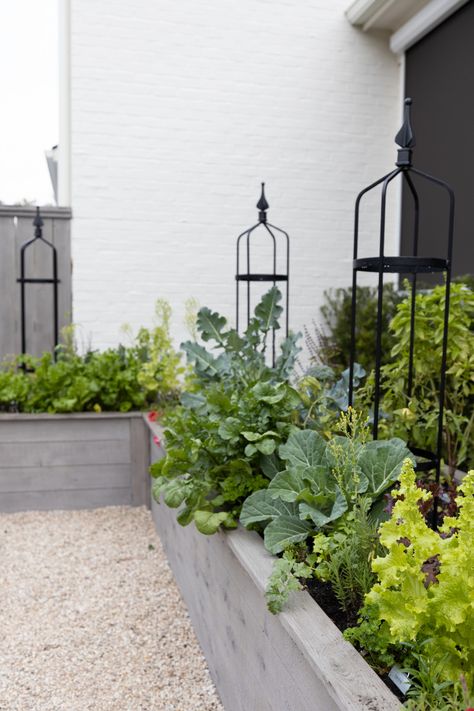 Can You Stain Raised Garden Beds? • Gardenary Garden Obelisk Metal, Garden Corner Ideas, Beautiful Raised Garden Beds, Raised Herb Garden, Sophisticated Garden, Houston Garden, Raised Vegetable Gardens, Corner Ideas, Garden Corner