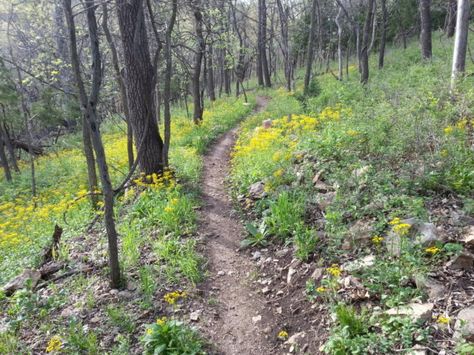 Shawnee Mission Park Mountain Bike Trail in Lenexa, Kansas || SINGLETRACKS.COM Mountain Biking, Nature, Lenexa Kansas, Bike Trail, Mountain Bike Trails, Bike Trails, View Map, Mountain Bike, Kansas