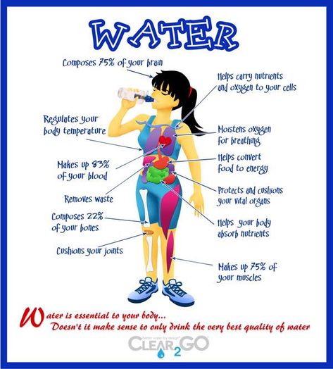 We all know that we need to drink more water...but do you know why? I not only want to share why staying hydrated is so important but also my best tips, tricks, and fun ways to get more water into your body every single day! Why Drink Water, Importance Of Drinking Water, Water Facts, Importance Of Water, Benefits Of Drinking Water, Hydration Station, Water Benefits, Drink More Water, Nutrition Education