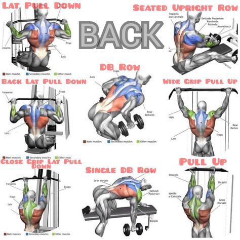 My Favorite Back Workouts