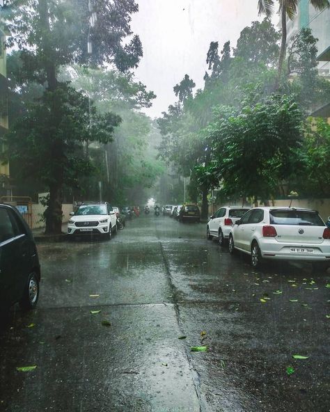 Nature, Mumbai In Monsoon, Mumbai Monsoon Photography, Mumbai Rain Snap, Mansoon Rain Photography Feelings, Mumbai Rains Photography, Rainy Mumbai, Animals In Rain, Rainy Season Pictures