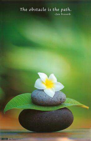 The Obstacle Is The Path - Zen Proverb. Dalai Lama, Yin En Yang, Image Zen, Zen Buddhism, Have Inspiration, Deco Floral, Gift Quotes, Arte Floral, Zen Garden