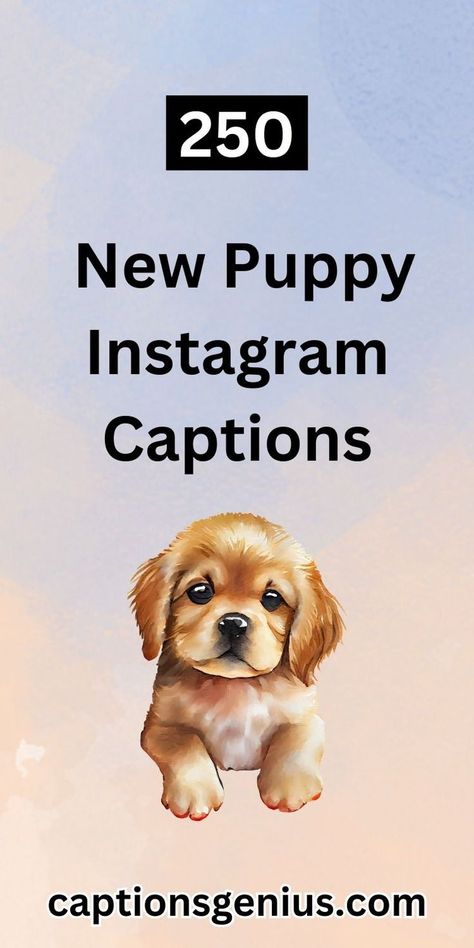 Explore endless cute and heartwarming New Puppy Instagram Captions. Turn each moment and tiny paw print into likes and warm comments! New Puppy Captions, New Puppy Announcement Instagram, New Puppy Instagram Captions, Puppy Quotes For Instagram, Puppy Captions Instagram, New Puppy Quotes, Puppy Instagram Captions, Setting Routines, Dog Captions