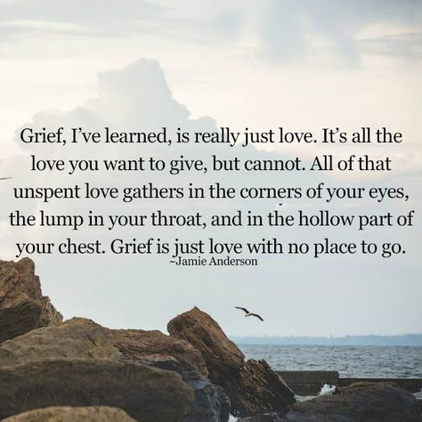 Wise Words, Jamie Anderson, We Love Each Other, 25th Quotes, How Lucky Am I, Love Deeply, Through The Looking Glass, Just Love, Favorite Quotes