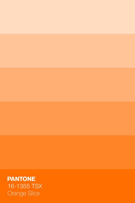 PANTONE 16-1355 TSX Orange Slice Colour Tint · Discover Color Book of 203 trend-driven, neutral, bright, and pastel Pantone Polyester TSX Colors, dyed on 100% polyester fabric for Interiors · #Pantone #Color #ColorRange #Inspiration · @pantonecolor · Kid’s Pattern Orange Colors Shades, Orange Shades Color, Pastel Orange Colour Palette, Orange Color Palettes Pastel, Pastel Pantone Colors, Orange Color Palettes Bedroom, Color Naranja Aesthetic, Pastel Orange Palette, Naranja Pastel Color