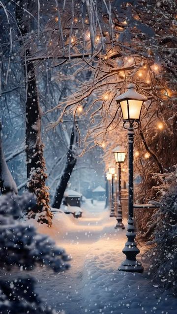 Animation Apps, Winter Scenes Wonderland, Peisaj Urban, Beautiful Winter Pictures, Winter Christmas Scenes, Tapeta Harry Potter, Beautiful Winter Scenes, Atmosphere Lamp, Lamp Posts