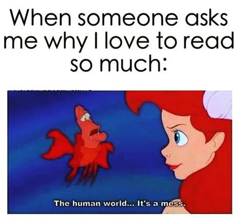 Bookworm Funny Quotes, Bookish Problems Funny, Memes About Reading Books, Reading Funny Quotes, Memes About Book Readers, Dating A Bookworm, Book Nerd Memes Funny, Bookish Quotes Funny, Book Lover Meme