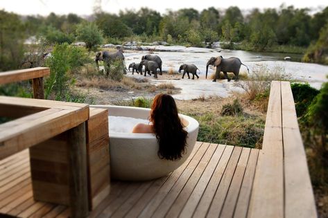 These are the 20 Best Honeymoon Lodges in Africa | Ubuntu Travel Group Safari Honeymoon, Africa Safari Lodge, South Africa Honeymoon, Lodges South Africa, Africa Honeymoon, Luxury African Safari, Luxury Safari Lodge, South Africa Safari, Chobe National Park