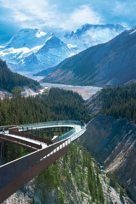 Glacier Skywalk in Jasper National Park | Banff Jasper Collection ....2.5 hours north of Canmore, might be possible, might not Rocky Mountains, Jasper National Park, Canada Road Trip, Canadian Rockies, Banff National Park, Alam Yang Indah, Canada Travel, Dream Vacations, Vacation Spots