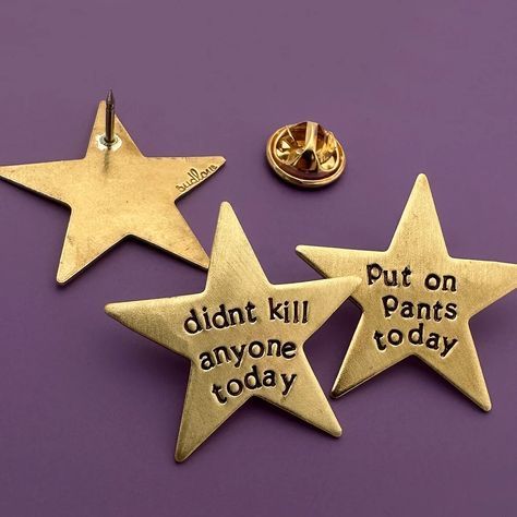 Pin Aesthetic, Pins Aesthetic, Small Wins, Handmade Pins, Cool Pins, Pin And Patches, Gold Star, Cute Pins, Gull