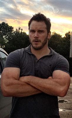 Chris Pratt Chris Pine, Chris Pratt Transformation, Chris Prat, Christopher Pratt, Thick Arms, Actor Chris Pratt, Chris Evans Shirtless, Le Male, Chris Pratt