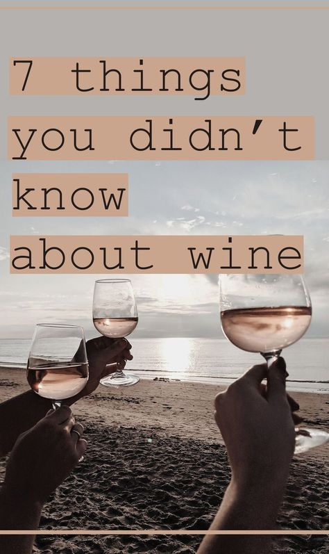 Cheeseballs Recipes, Wine Cheat Sheet, Wine Etiquette, Wine Basics, Wine Ingredients, Wine Cheese Pairing, Wine Facts, Wine Tips, Wine Names