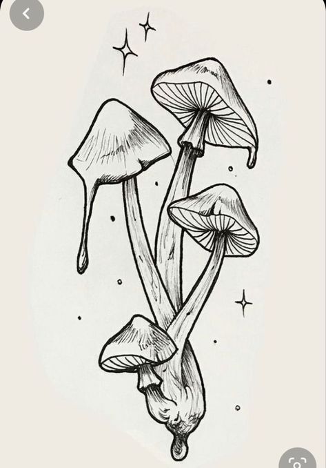 Flash Art, Beautiful Pencil Drawings, Mushroom Tattoos, Mushroom Drawing, Seni 2d, Tapeta Galaxie, Mushroom Art, Tattoo Design Drawings, Sketchbook Art Inspiration