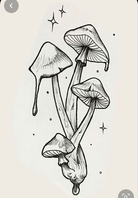 Beautiful Pencil Drawings, Mushroom Tattoo, Mushroom Tattoos, Mushroom Drawing, Seni 2d, Tapeta Galaxie, Mushroom Art, Design Drawings, Tattoo Design Drawings