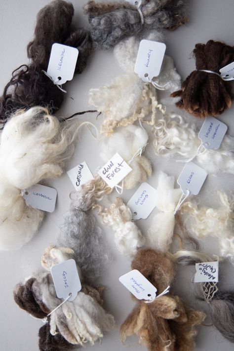 Beach Textiles, Fiber Farm, Wool Photography, Sheep Rug, Wool Sheep, Wool Products, Rachel Smith, Wool Insulation, Sheep Breeds