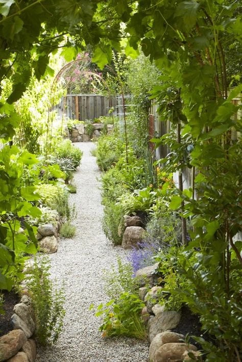 The New Vegetable Garden: 8 Favorite Edible Backyards Vegetable Garden Design, Funny Vine, Potager Garden, California Garden, Garden Vines, Edible Landscaping, Veg Garden, Garden Edging, Garden Cottage